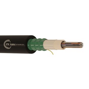 ETK Tek Tüplü Zırhlı Multi Mode OM2 50/125 LSZH Fiber Optik Kablo - Görsel 1